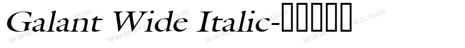 Galant Wide Italic字体转换